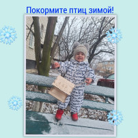 Пригласим синичку в гости, группа "Звёздочки" Пригласим синичку в гости, группа "Звёздочки".