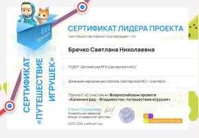 Всероссийский проект "Большое путешествие игрушек" Всероссийский проект "Большое путешествие игрушек".