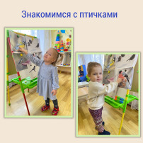 Пригласим синичку в гости, группа "Звёздочки" Пригласим синичку в гости, группа "Звёздочки".
