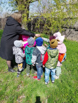 В поисках весенних изменений в природе В поисках весенних изменений в природе.