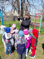 В поисках весенних изменений в природе В поисках весенних изменений в природе.